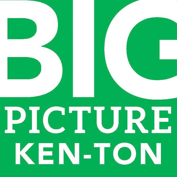 Big Picture Logo